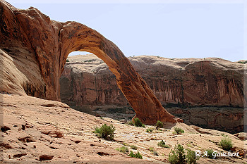 Corona Arch